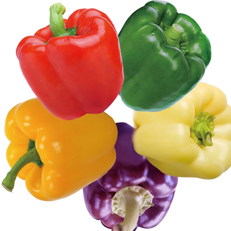 Лидер продаж 2021, семена овощей, цветные Семена сладкого перца для выращивания