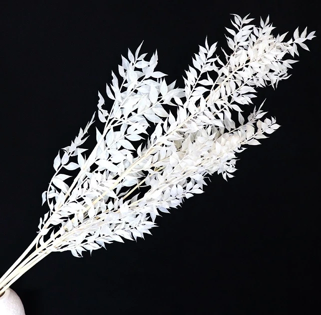 Preserved natural ruskus flowers, strong small leaves, floral materials, home wedding party decoration