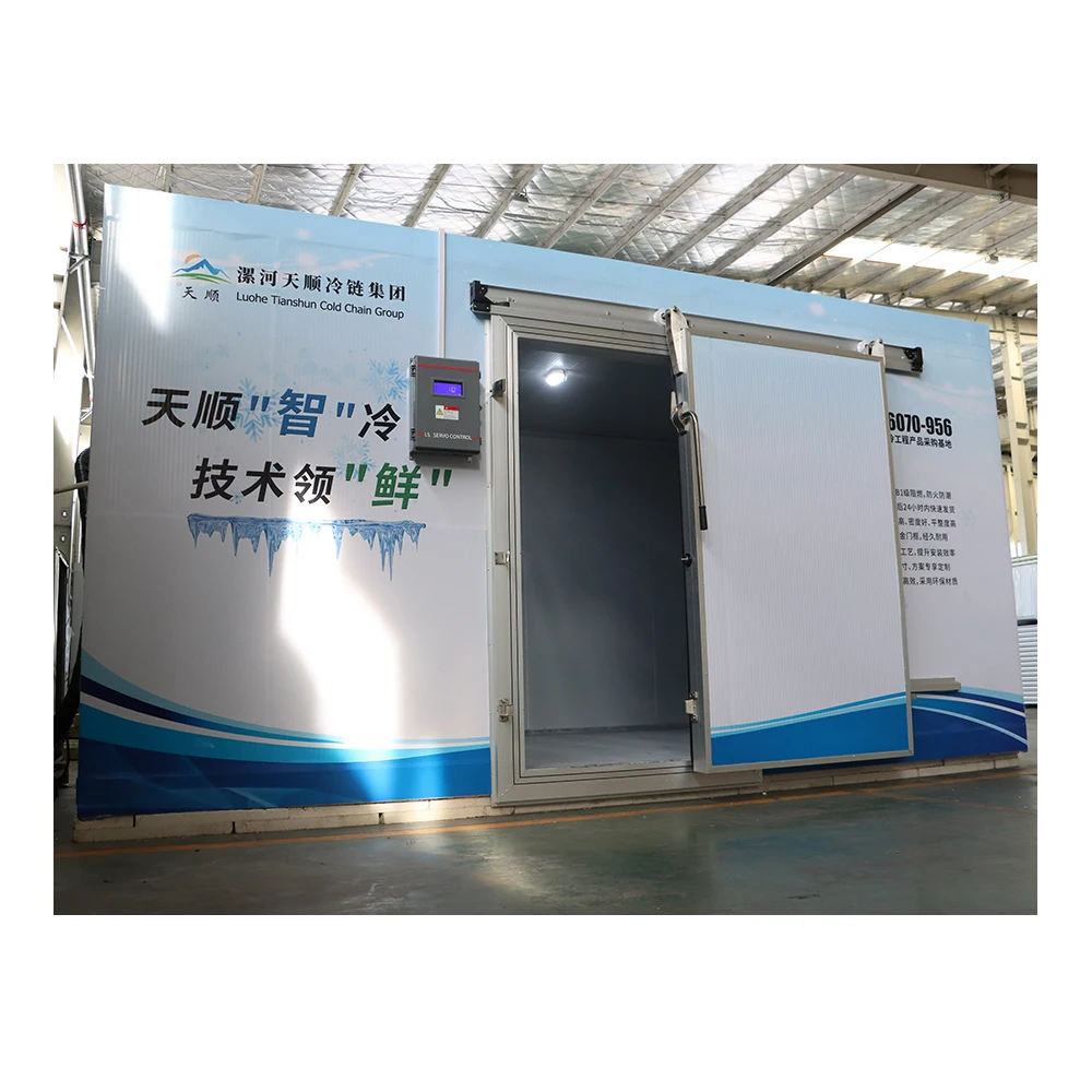 Cold Storage Room With Refrigeration Equipment for Frozen Chicken
