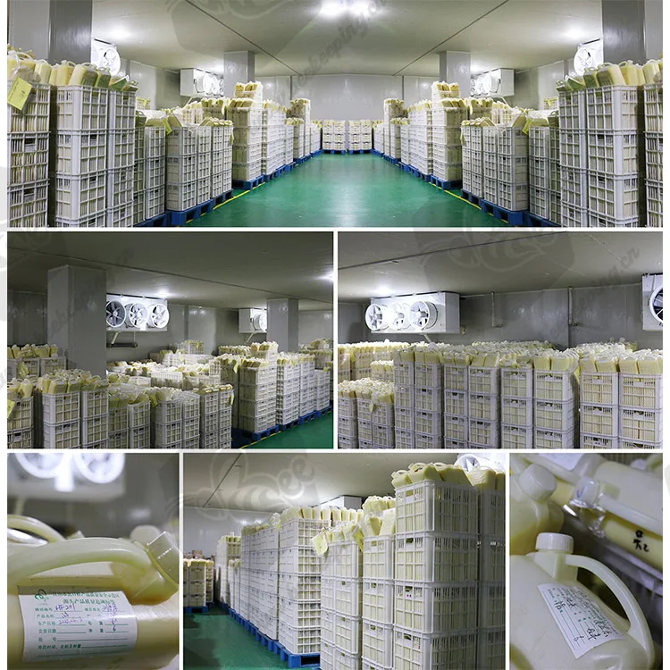 Manufacturer Directly Supplies Bulk Wholesale Pure Fresh Lyophilized Liquid Organic Natural Royal Jelly Price Bee Milk for Sale