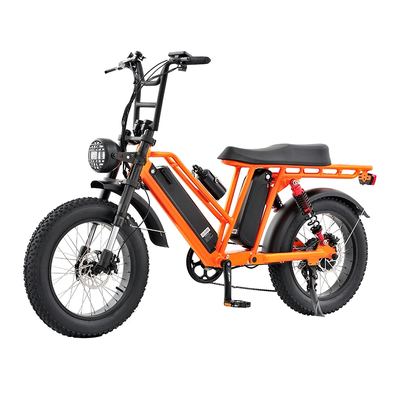 Fat Tire 48v Electric Bike 750W Mountain Bicycle Double Battery 7 Speed Electric Dirt bike Adult off-road Motorcycles