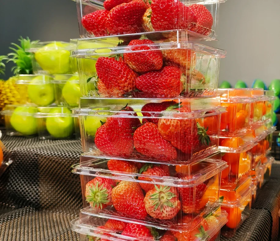 China Factory Disposable Fruit Box Transparent Plastic Boxes