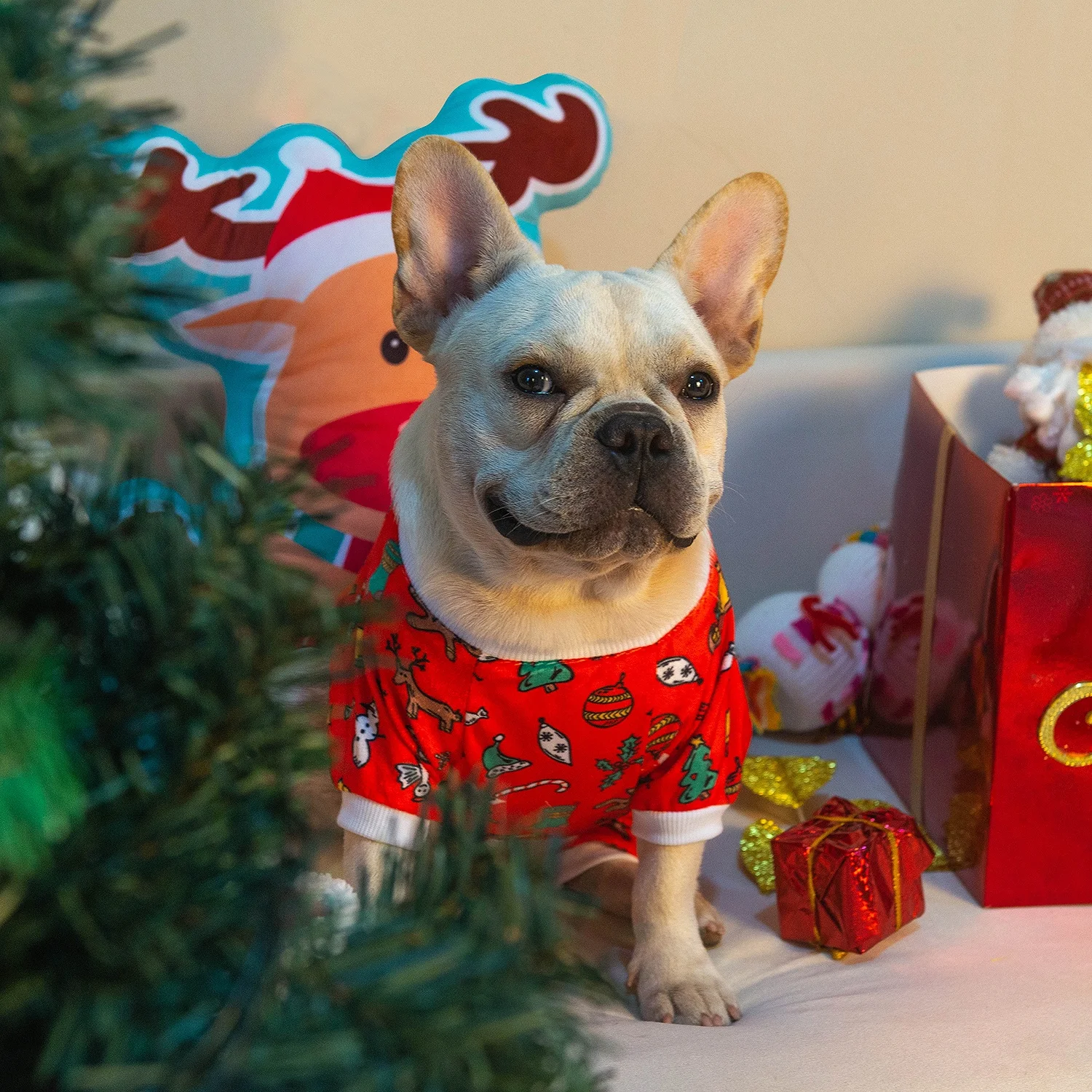 CuteBone Wholesale 2 Pack Dog Clothes Super Soft Polyester Puppy Pajamas Lightweight Sleepwear for Dog