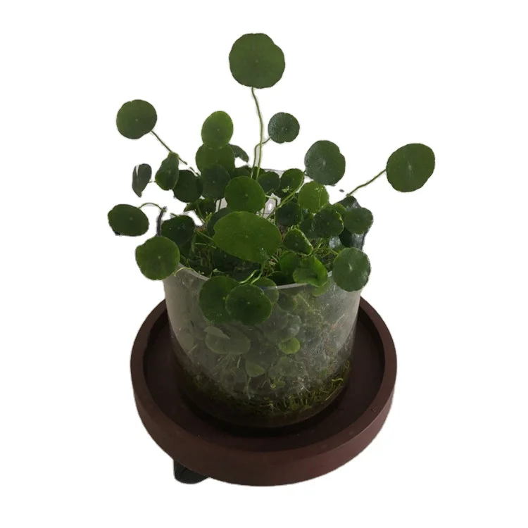 
330mm gardening plant pot trays wtih 4 wheels PP flower pot tray 