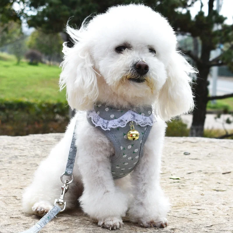 Popular Striped Outdoor Walk Soft Pet Harness Vest Pet Dog harness