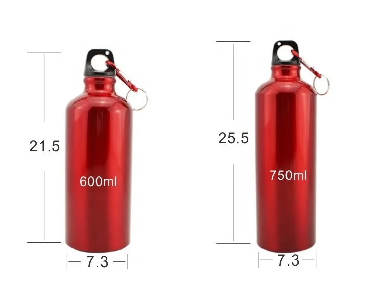Promotional Custom Colorful Reusable 20 Oz Metal Aluminum Sports Drink Water Bottle 500ml 750ml With Carabiner Cover
