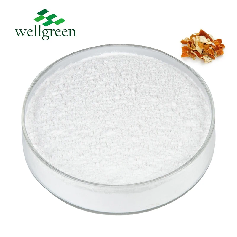 Chinese Herbal HPLC Bitter Organic Peel Citrus Aurantium Extract 90% Hesperidin Powder