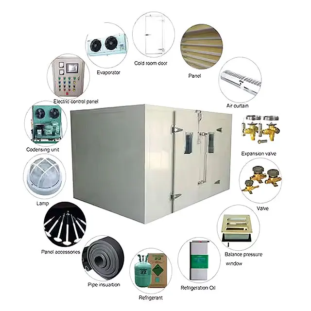 Hot Sale Seafood Freezer Ultra Low Cold Room For Fish  Frozen  Solar Cold Storage Room Blast Chiller