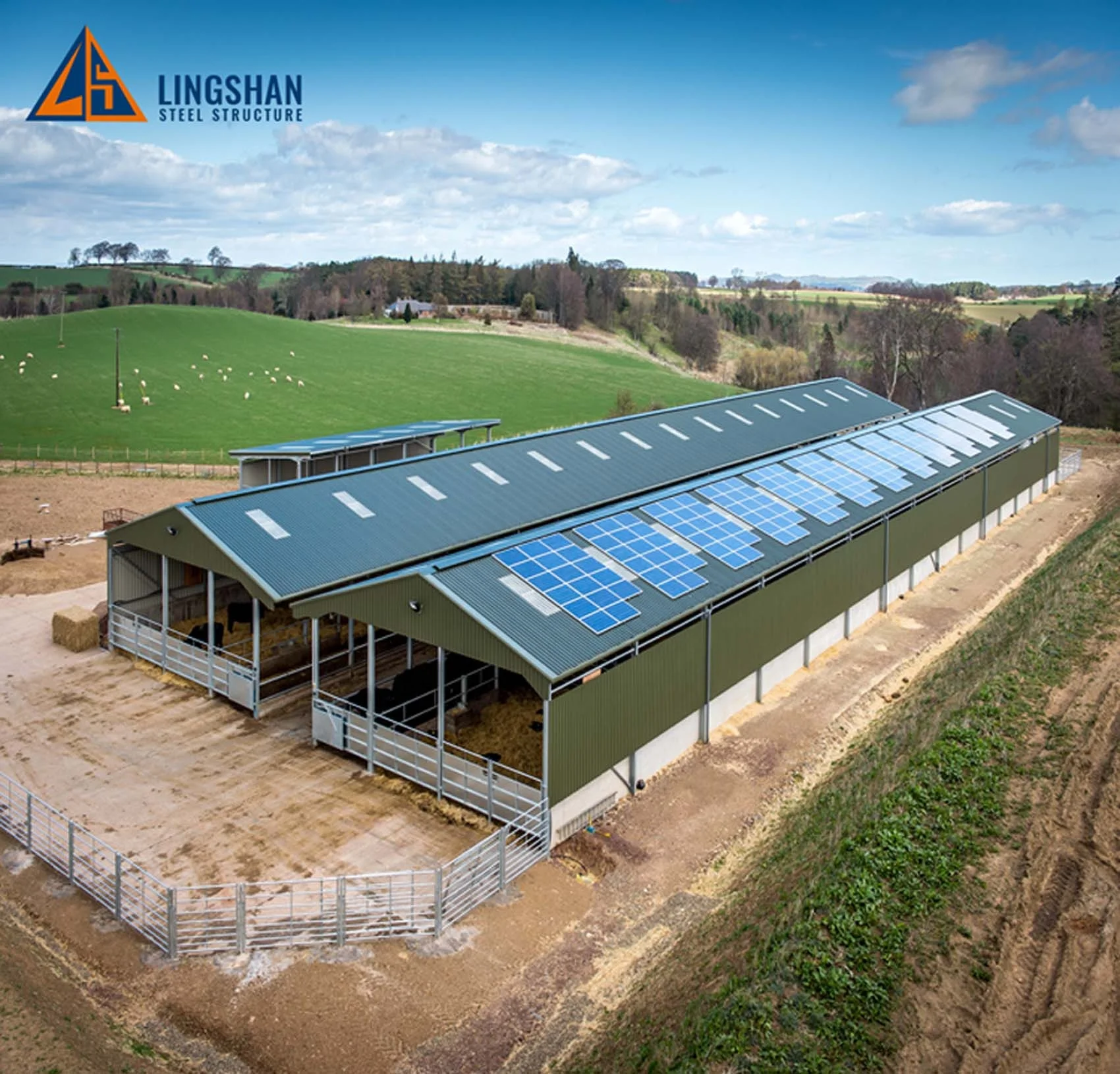 Low Cost Prefab Agricultural Building Metal Shed Steel Horse Stable Cow Barns Sheep Shed
