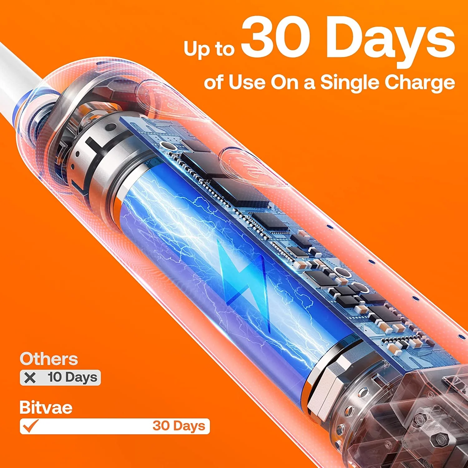 Bitvae BV R2 Oral Care Smart Timer Rotary Electric Toothbrush with 8 Heads