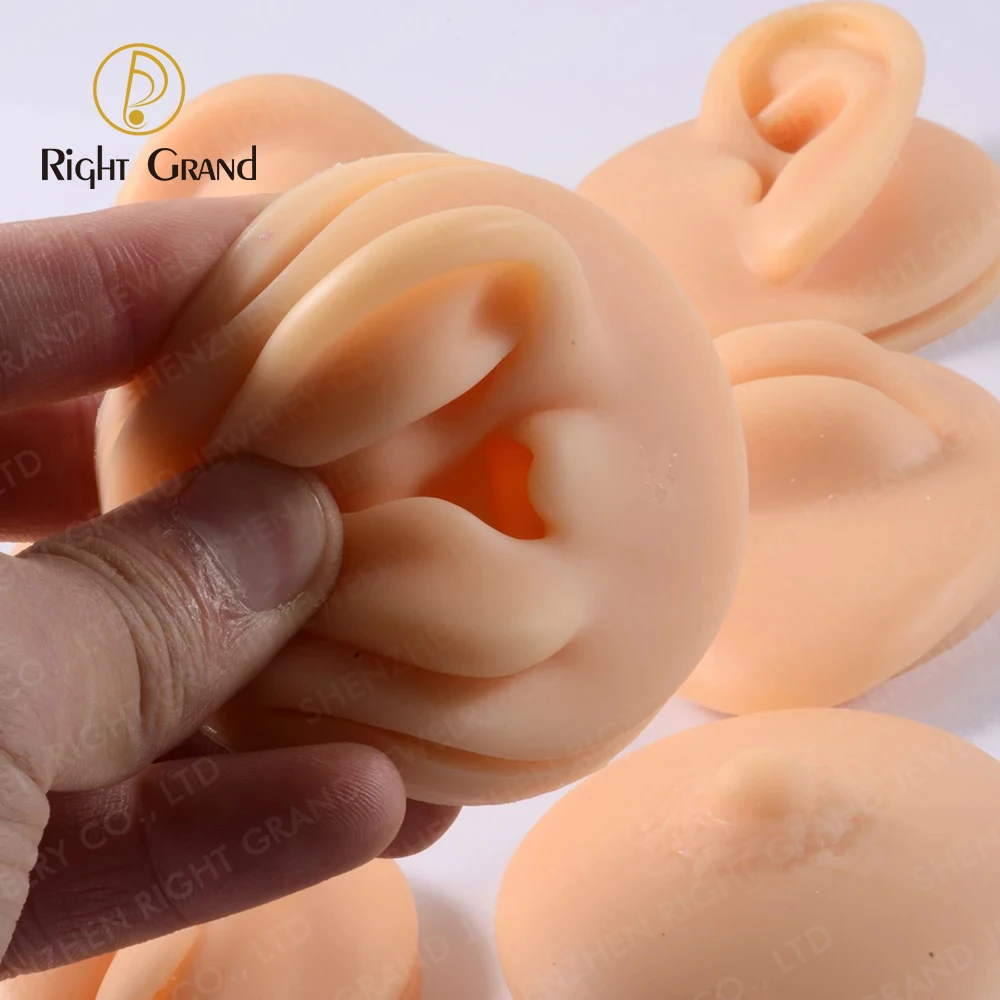 Right Grand Soft Silicone Model Body Part Displays for Acupuncture Human Model Simulation for Jewelry Display Teaching Tool