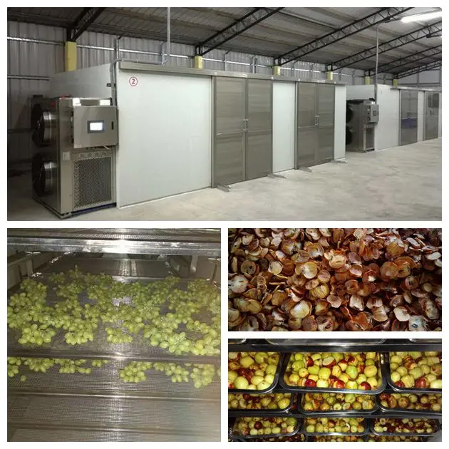 
Hot Air Recycle Heat Pump Industrial Blueberry drying machine Mulberry dehydrator fruit dryer oven vegetable dryer 
