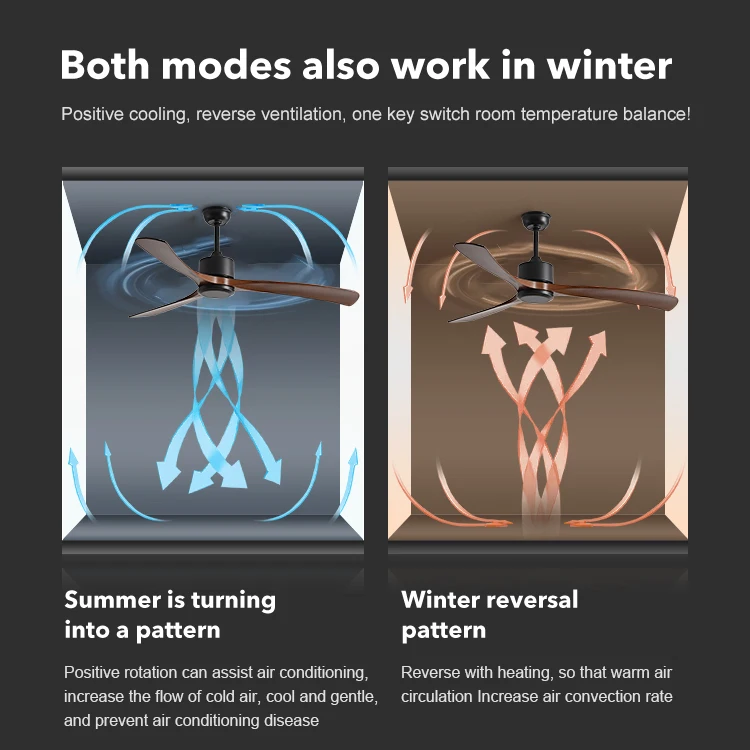 Multi Control Optional ABS 3 Blades 100% Pure Cooper Motor 220 Volt BLDC Ceiling Fan