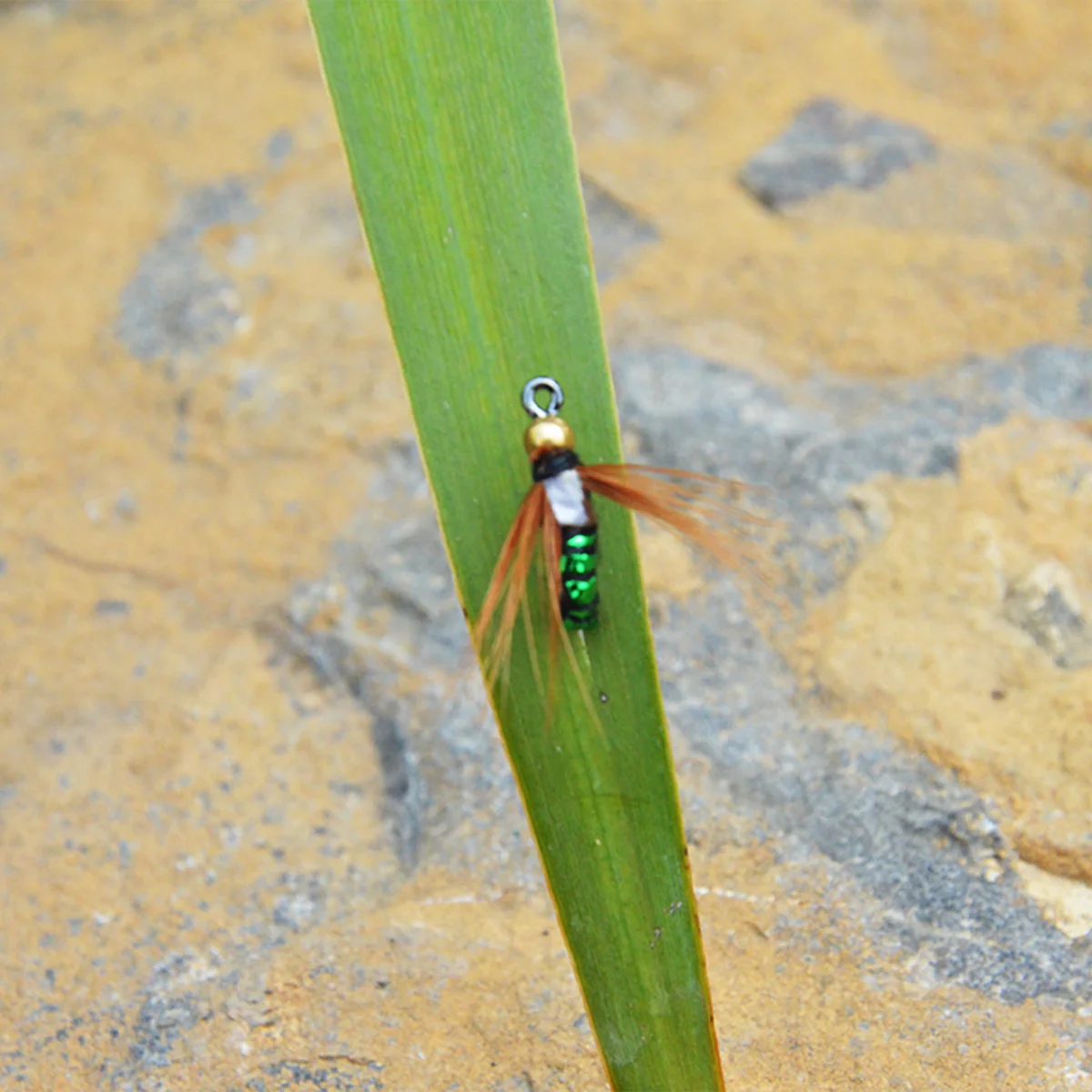 Bionic venomous hook modified fly hook fly bait insect venomous mosquito micro-object fishing group small fly set Luya