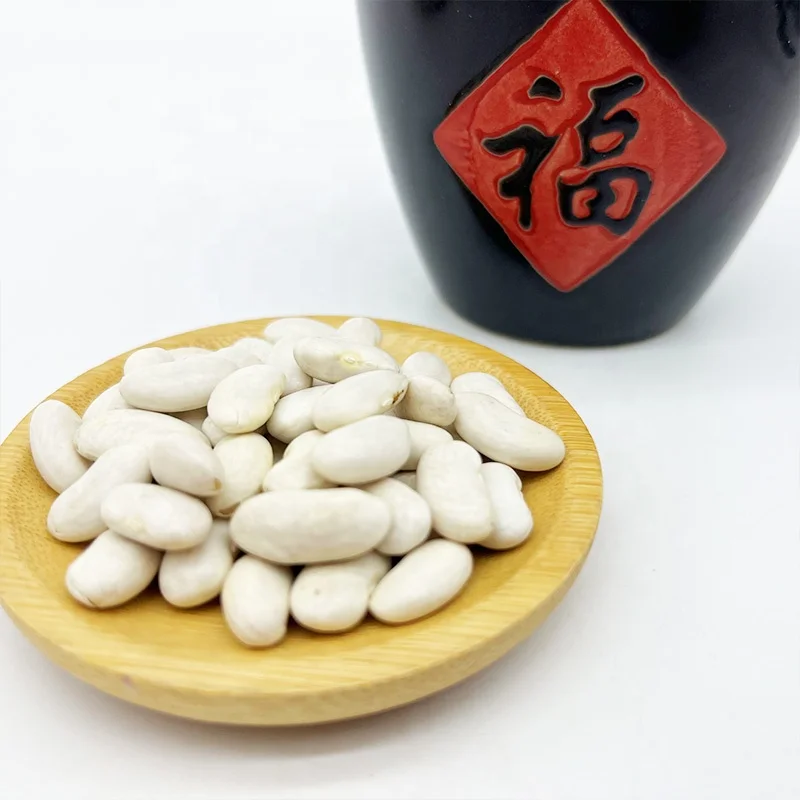 Large White Kidney Beans Hot Selling New Crop big White Kidney Beans Bulk Factory Price