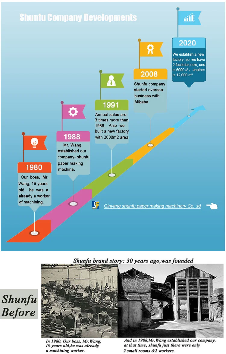 Turkey / Nanya automatic paper egg tray packaging machine factory price