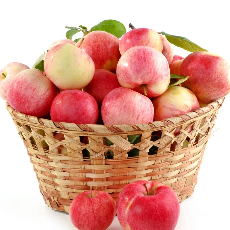 fresh fruit apple red delicious apple fuji apple export to bangladesh