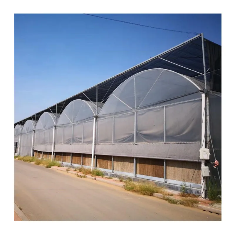 Low prices agricultural  plastic greenhouse for mushroom commercial greenhouse for sale