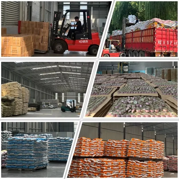 Wholesale ODM/OEM High Nutritional Dog Cat Food Customized Formula Staple Dry Food for Pets