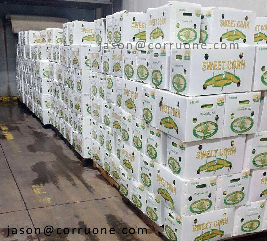 polypropylene plastic box organic vegetable foldable honeycomb pp grape packaging banana plain asparagus corrugated for fruit