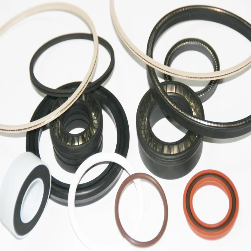 Rotary Shaft Seal Energized PTFE Spring Energized Seals Standard Size from Factory