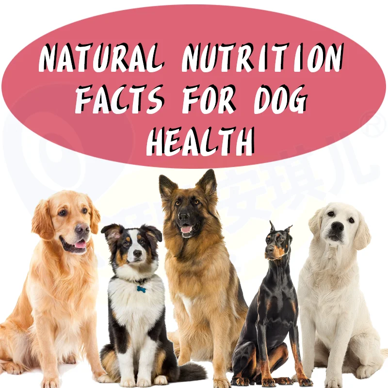 Wholesale Vitamin Dog Pregnant Pet Supplements Suppliers Maintains Promotes Regular Successful Cycle Dog Fertility Supplement
