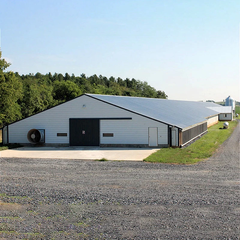 High Quality  Cheap Prefabricated DWG Designs Chicken Steel Structure  Coop Houses Shed For Sale