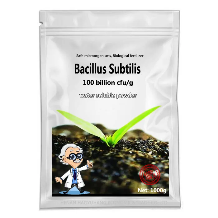 Bacillus subtilis powder for plant Cucumber powdery mildew