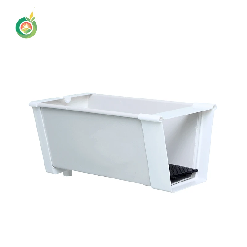 Customized Strawberry Soilless Cultivation System in Agricultural Greenhouse