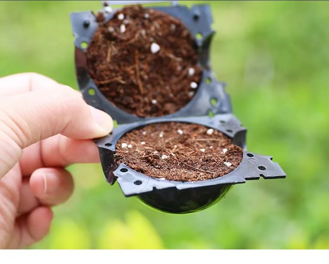 Garden Plant high-pressure Propagation Ball Plant Root High Pressure Propagation Ball  plant root growing box ball