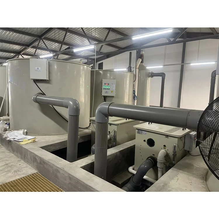 Indoor Recirculating Aquaculture System Aquaculture Malaysia/Ras Fish Farming System Recirculating Aquaculture
