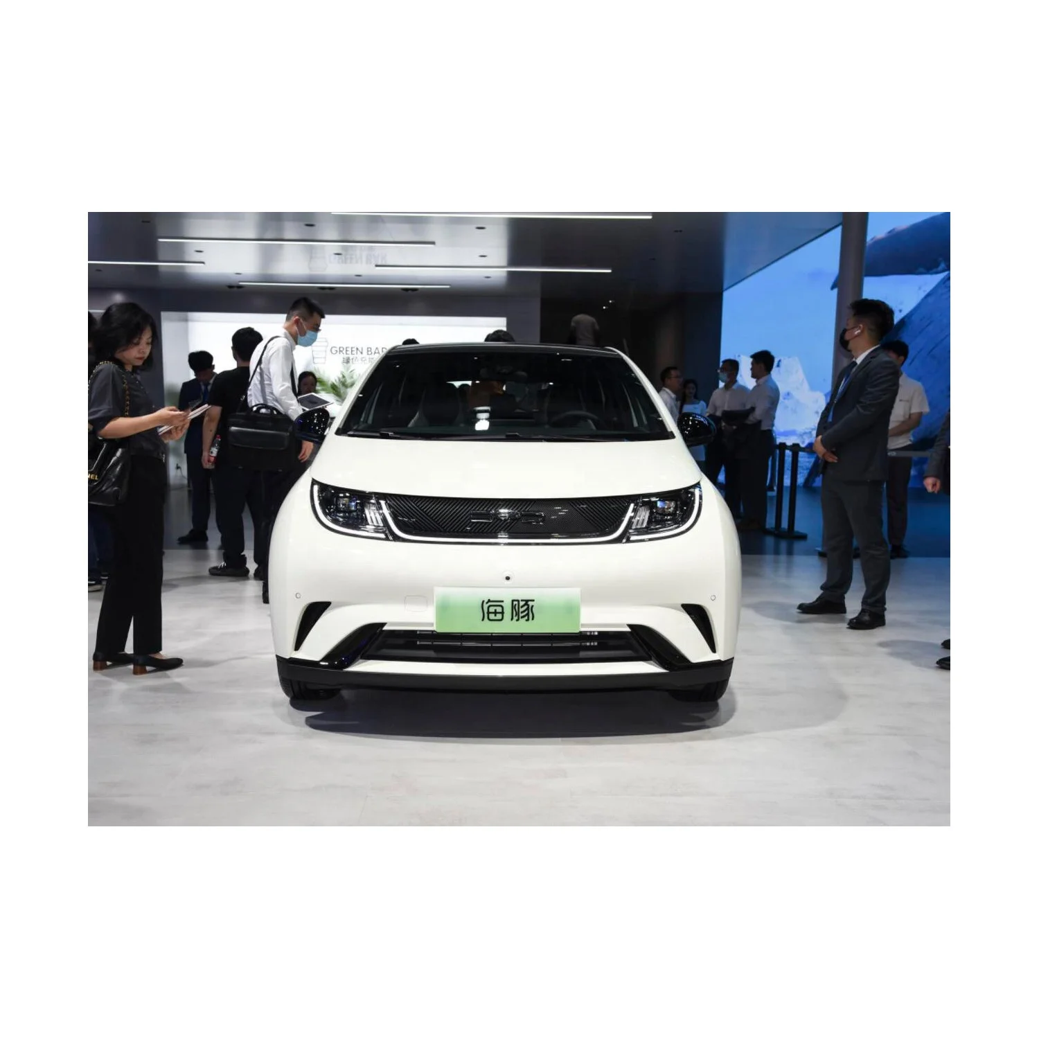 changli  new energy  adult electric car for BYD Dolphin 5 Doors 5 Seats