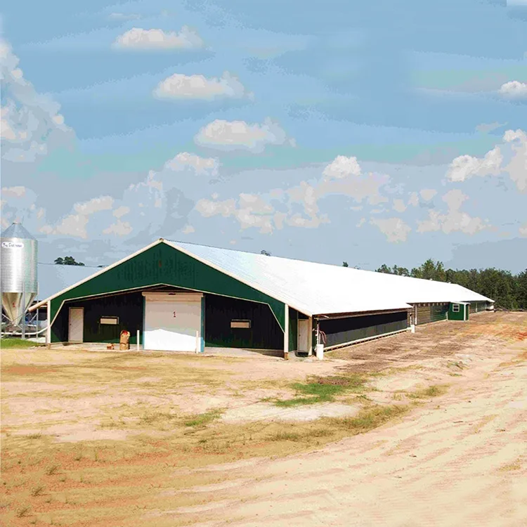 Qingdao RT стальная конструкция, недорогая сборная стальная конструкция, птицеферма