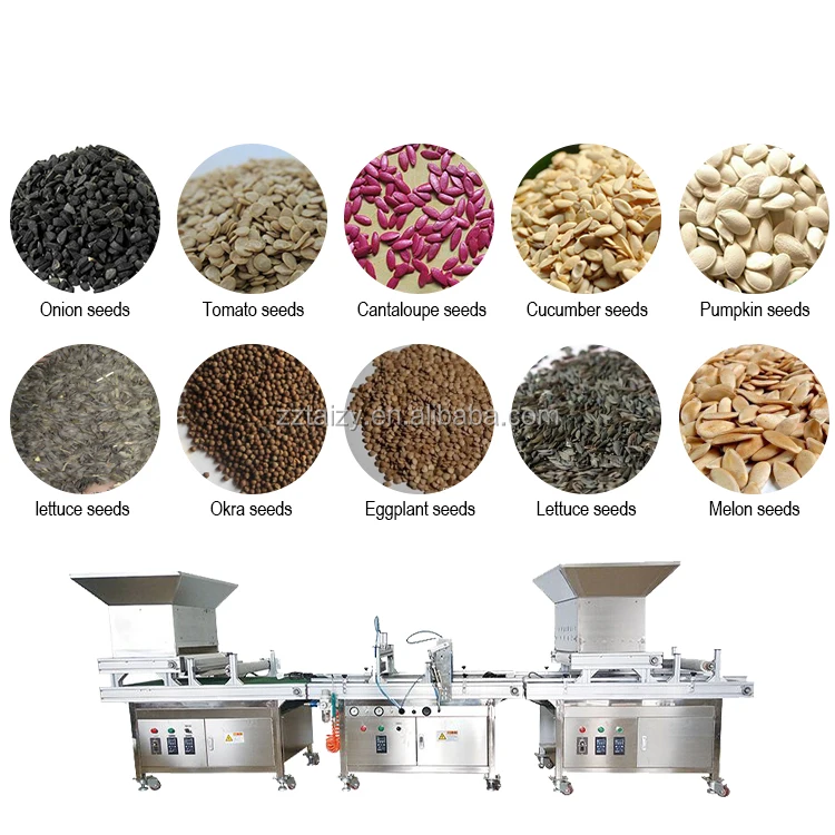 onion seeders transplanters paper pot seeder plates vegetable tray seeding machine