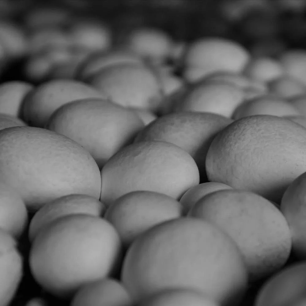 Замороженные белые грибы Agaricus Bisporus цена
