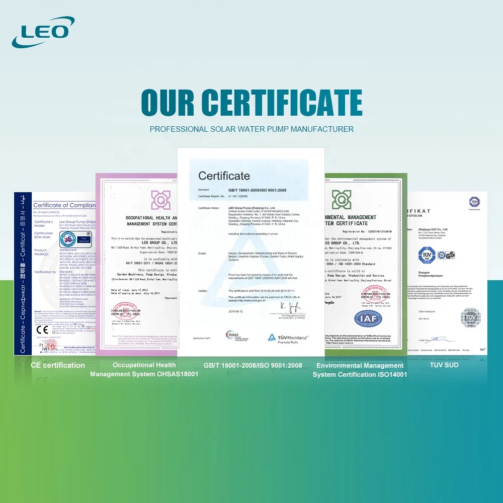 LEO AP DC Solar Peripheral Pump