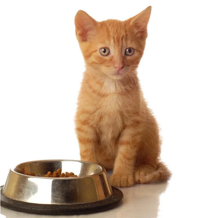 Hot Sale Hydrolysed Beef Protein As Animal Feed