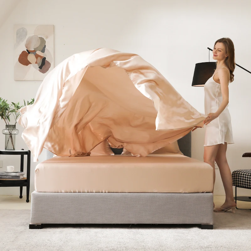 Luxury 19/22/25 Momme 6A Grade Silk Pillow Case Zipper Closure Multi Color 100% Mulberry Silk Pillowcase