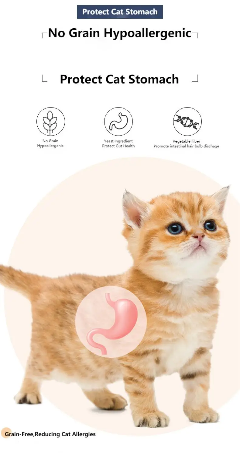 Free sample Organic Pet Dog Food Halal Raw Freeze Dried Weight Gain Special Dry Cat Food