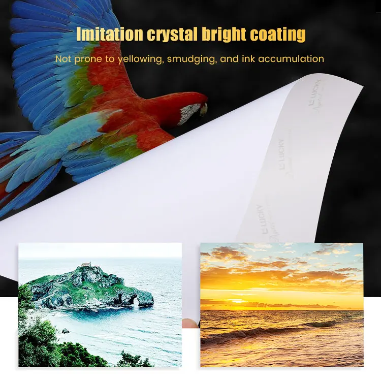 A4 High Waterproof 11x17 10x15 Printers 230 Gsm Photo Glossy Paper For Inkjet