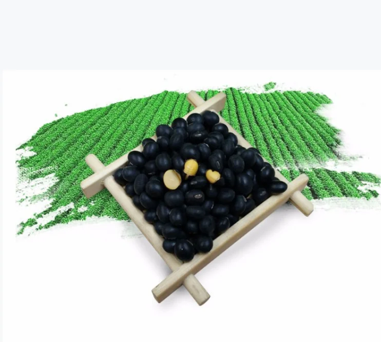 Низкая цена, гарантированное качество, Натуральная Подлинная упаковка черных бобов