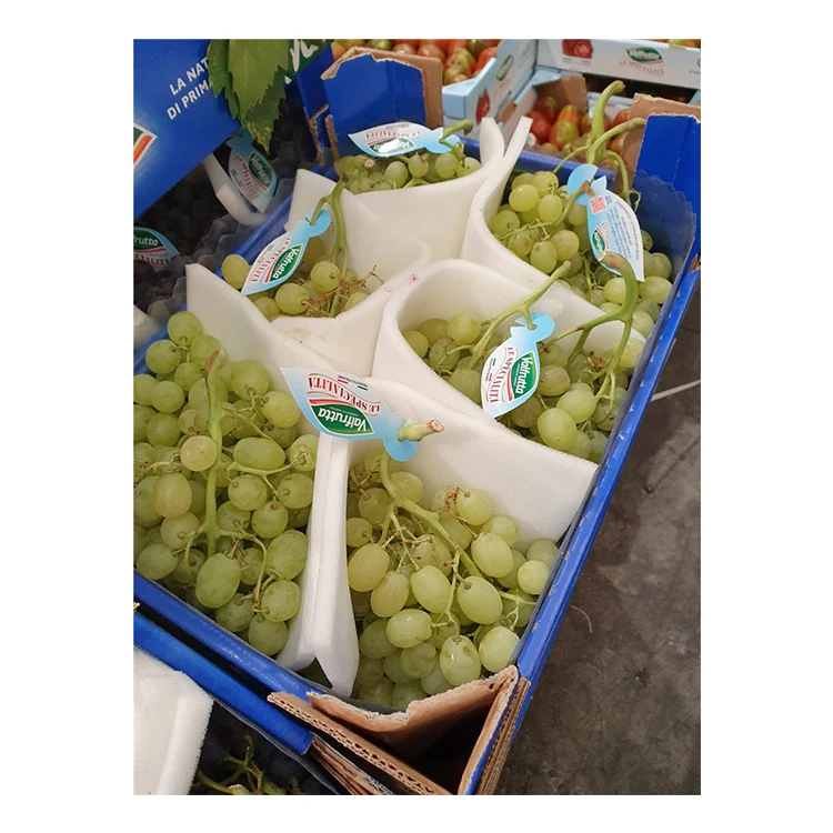 Italy Fruit White Seedless Grapes Fresh