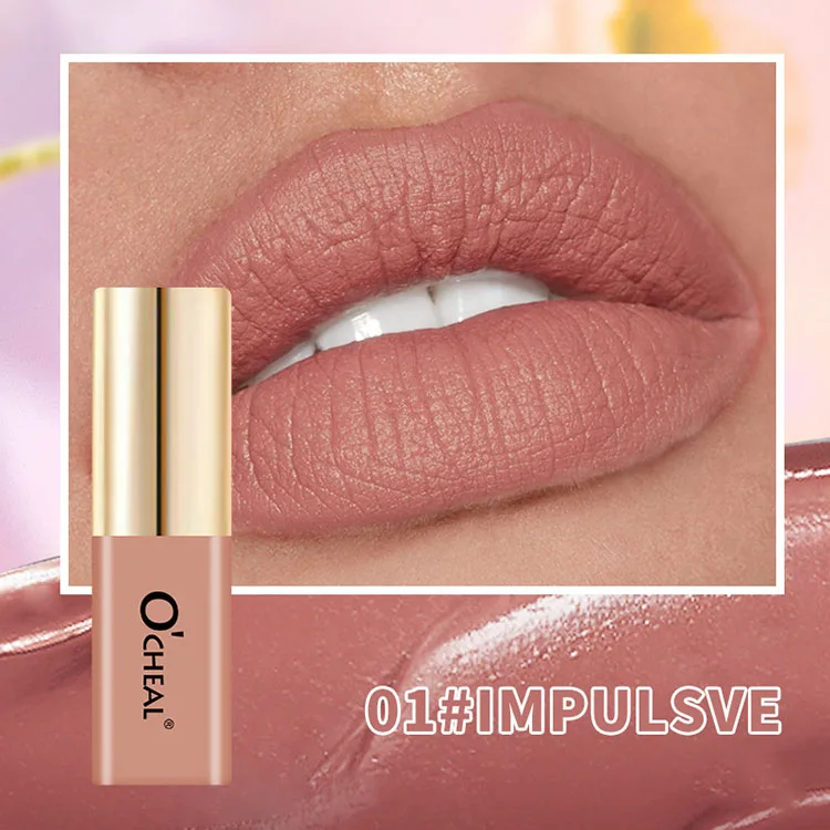 Wholesale Lip Gloss Private Label Matte Liquid Lipstick Waterproof Lightweight Lip Glaze Long Lasting 12 Colors Lip Gloss