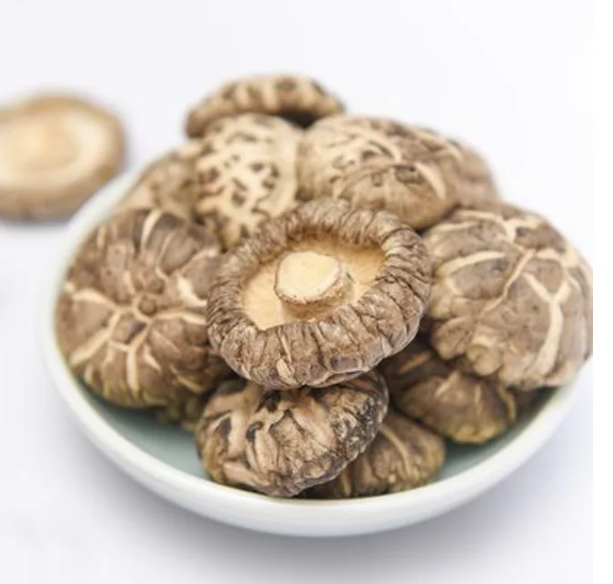 Dried Shiitake Mushrooms Psylocybin  Mushrooms Dried High Quality