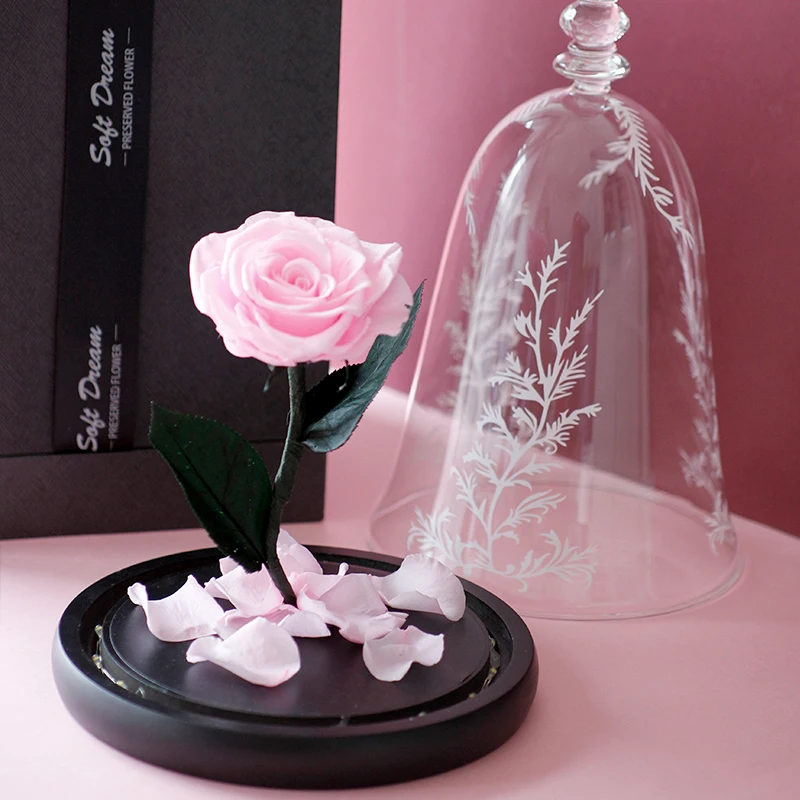 Tiktok hot selling dry flowers preserved flower decoration eternal rose preserved rose in glass dome