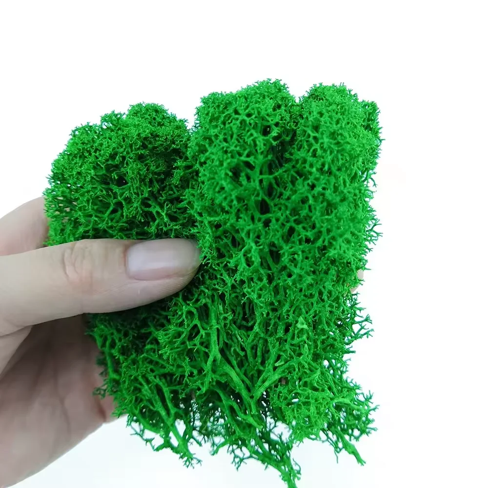 wholesale preserved moss wall preserved lichen moss reindeer real natural preserved moss for DIY home decoration