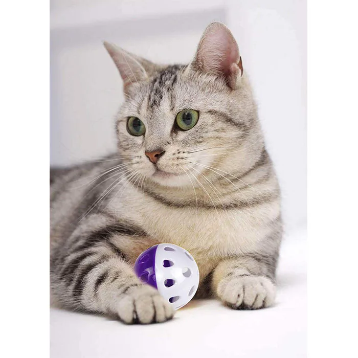 
 6 шт. игрушки для домашних животных игрушки для кошек мяч с бубенчиком кольцо играть жевательные погремушка царапина пластиковый шар, кошачьи игрушки для домашних животных кошка Z285  