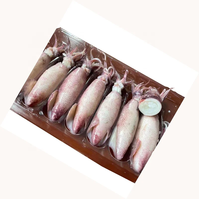 
Chinese produced frozen cooked squid loligo boiled tray loligo squid ready to eat 