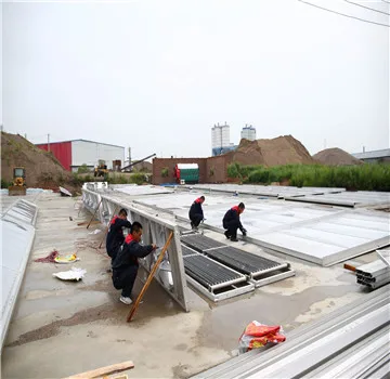 80 M3 Steam & Hot Water wood drying kilns wood drying chamber for drying wood