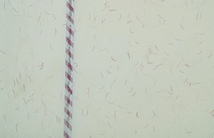 Customize Watermark Paper Bank Cheque Watermark Paper  CBS-1 Security Paper